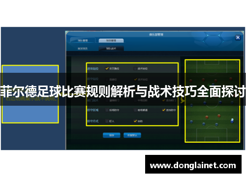菲尔德足球比赛规则解析与战术技巧全面探讨