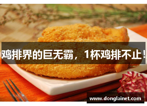 鸡排界的巨无霸，1杯鸡排不止！