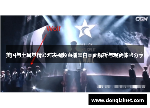 美国与土耳其精彩对决视频直播黑白画面解析与观赛体验分享